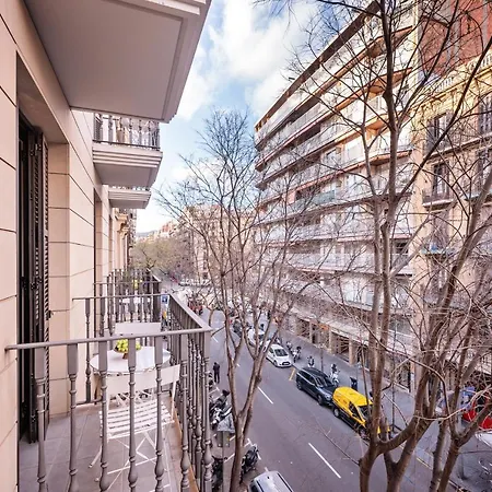 Sweett - Carrer Bailen Barcelona